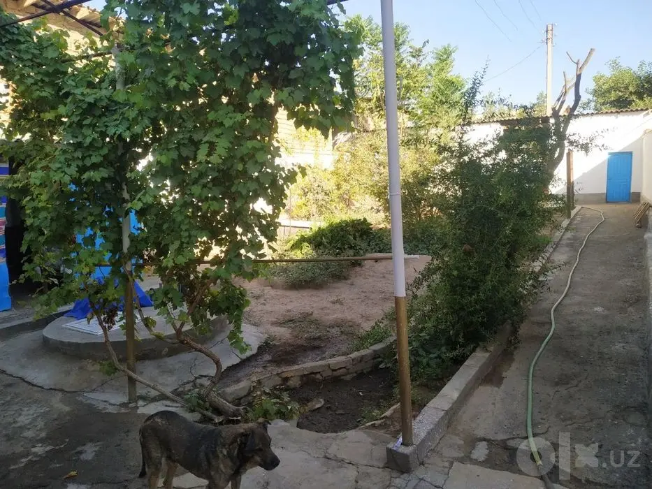Кучмас мулк сотилади  пастда номерлари езилган эгасини муроожат киласи