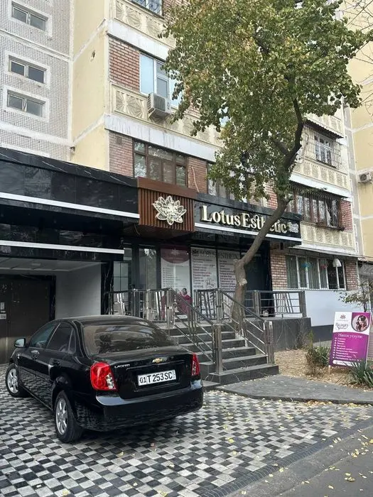 Аренда коммерческой недвижимости Кушбеги