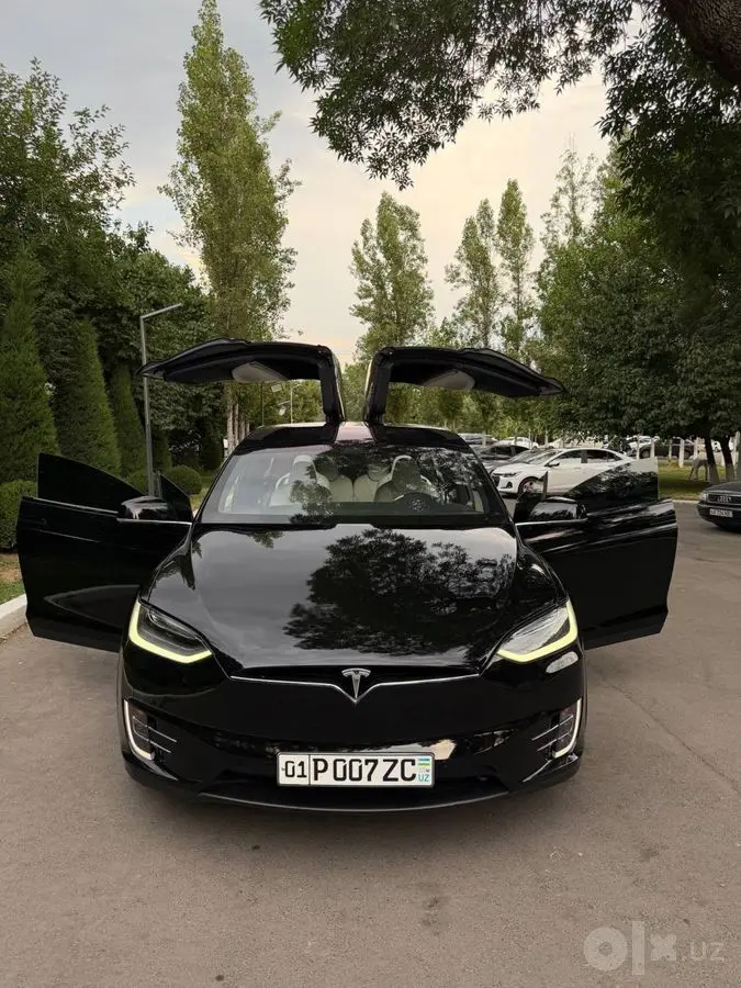 Tesla Model X Duall Motor 75D