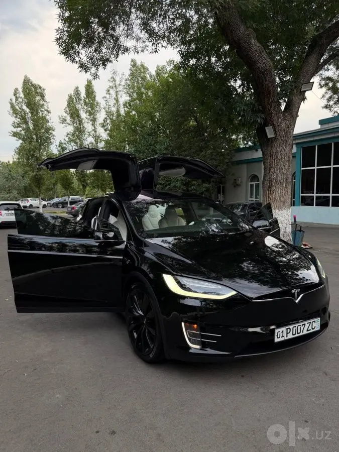 Tesla Model X Duall Motor 75D
