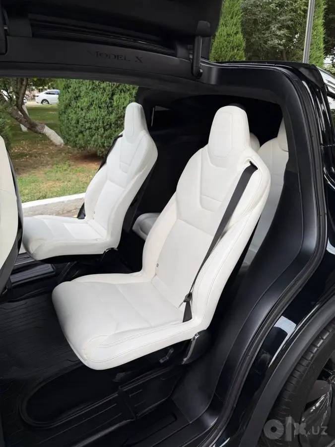 Tesla Model X Duall Motor 75D