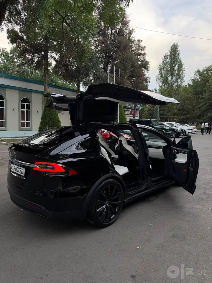 Tesla Model X Duall Motor 75D
