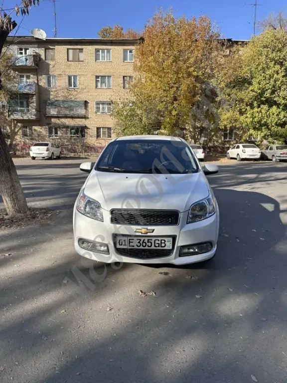 Nexia-3, год выпуска-2019, состояние идеальное