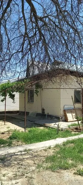Oazisda  Dacha sotiladi ayirboshlash ham bor