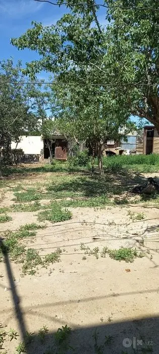 Oazisda  Dacha sotiladi ayirboshlash ham bor
