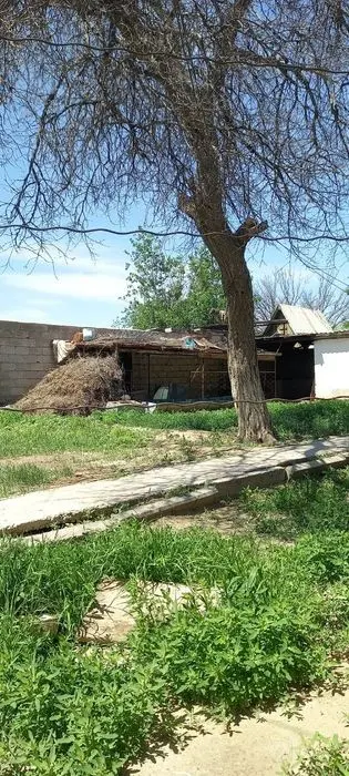 Oazisda  Dacha sotiladi ayirboshlash ham bor