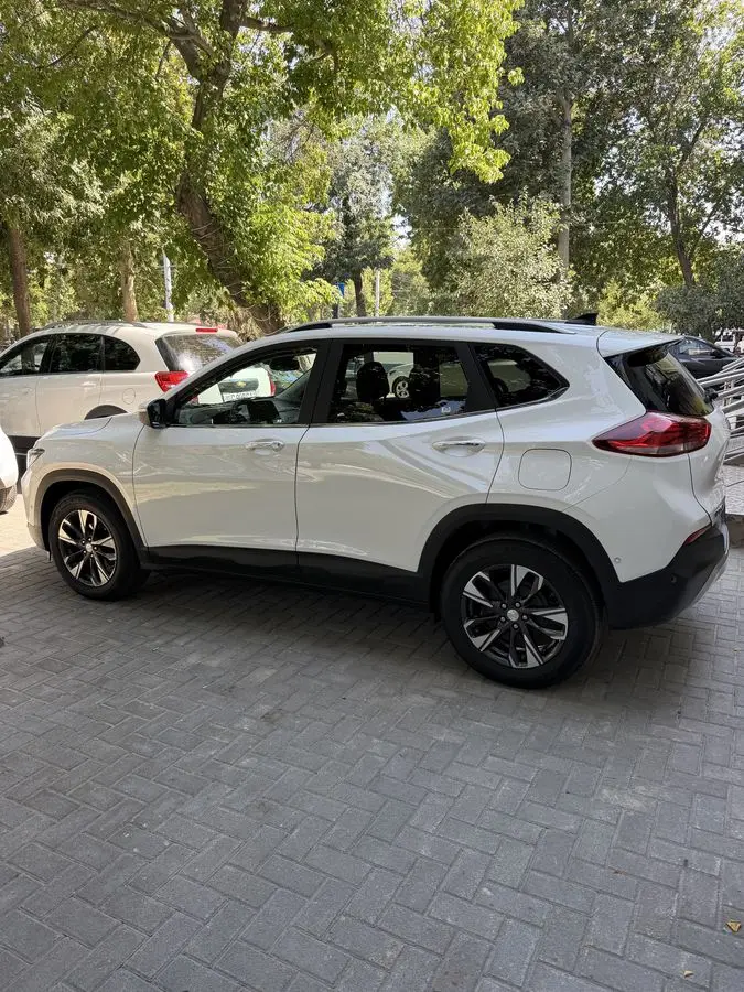 Tracker Premier Plus Toza 2024