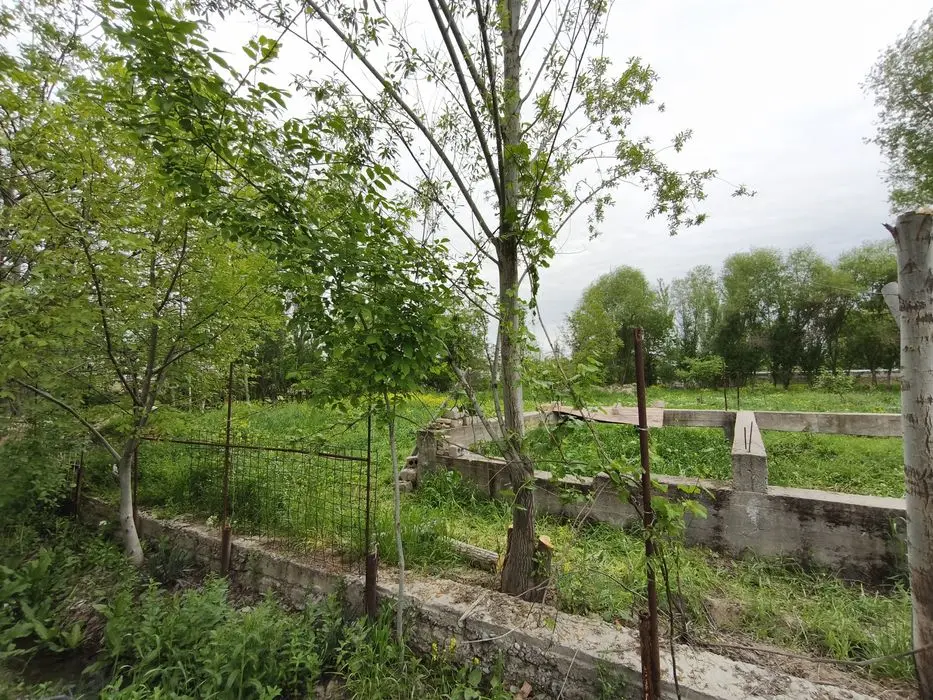 Продам 20 соток Чинабад (Кибрайский р-н)