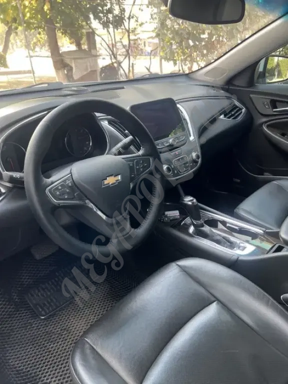 Malibu premier oq 2020