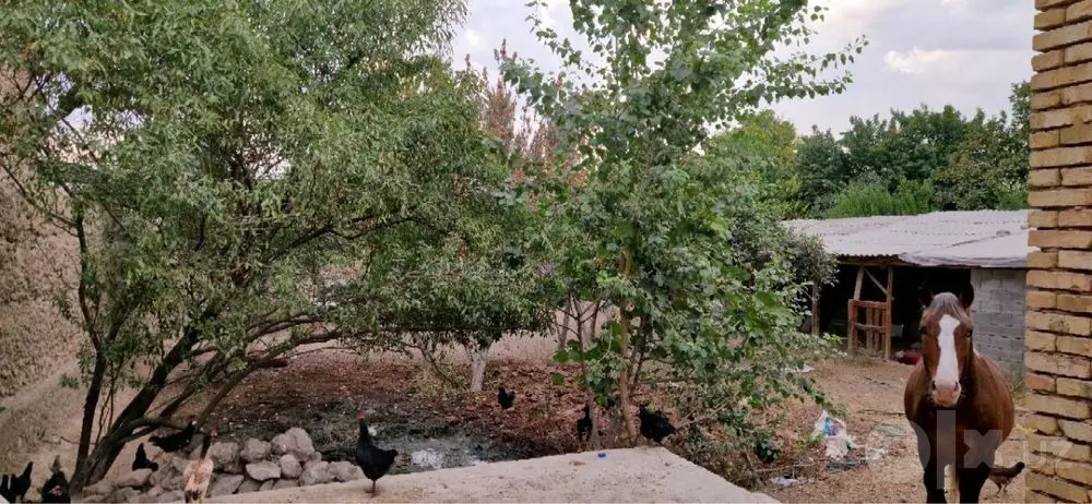 Yer uchastka 6 yarim sotix srochno sotiladi