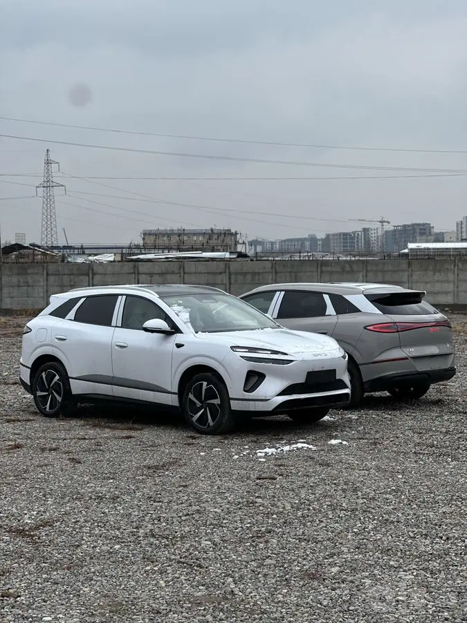 Byd Sealion 06 2026