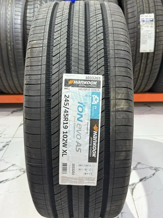 Hankoom ion evo as R19