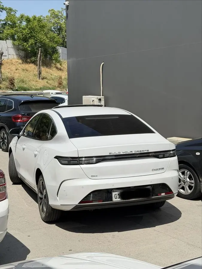 BYD Chazor 2023 4 pozitsiya Full 120 km