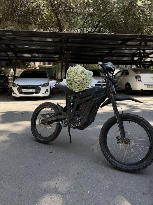 Talaria tl 3000
