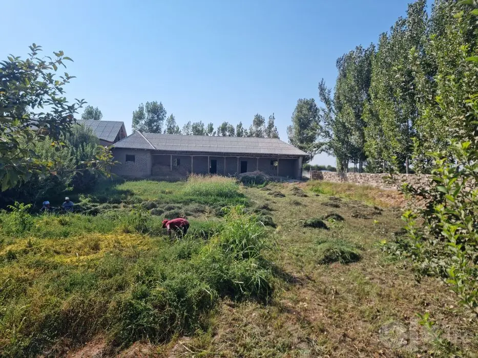 Hovli sotiladi .