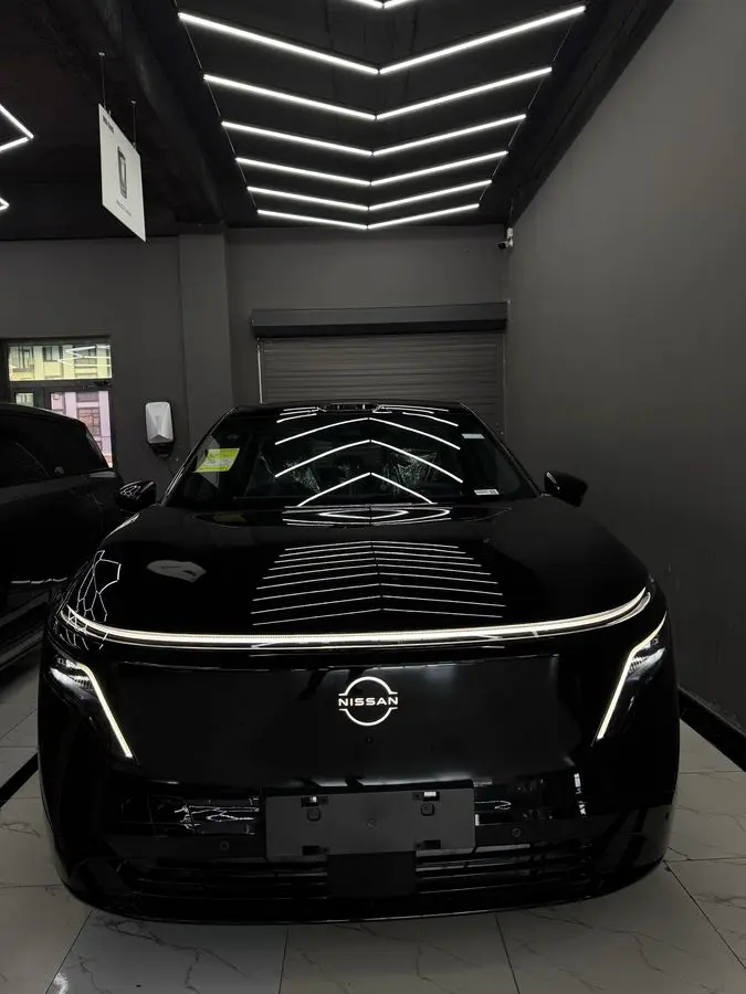 Nissan NX8 300 MAX