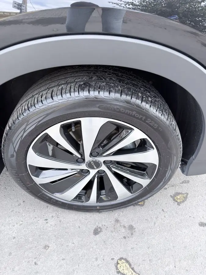Byd chempion 110 talik 2024 srochno sotiladi