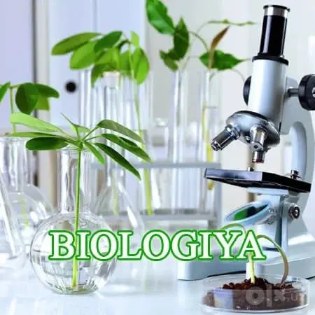 Repetitor kimyo biologiya. Репетитор Химия Биология