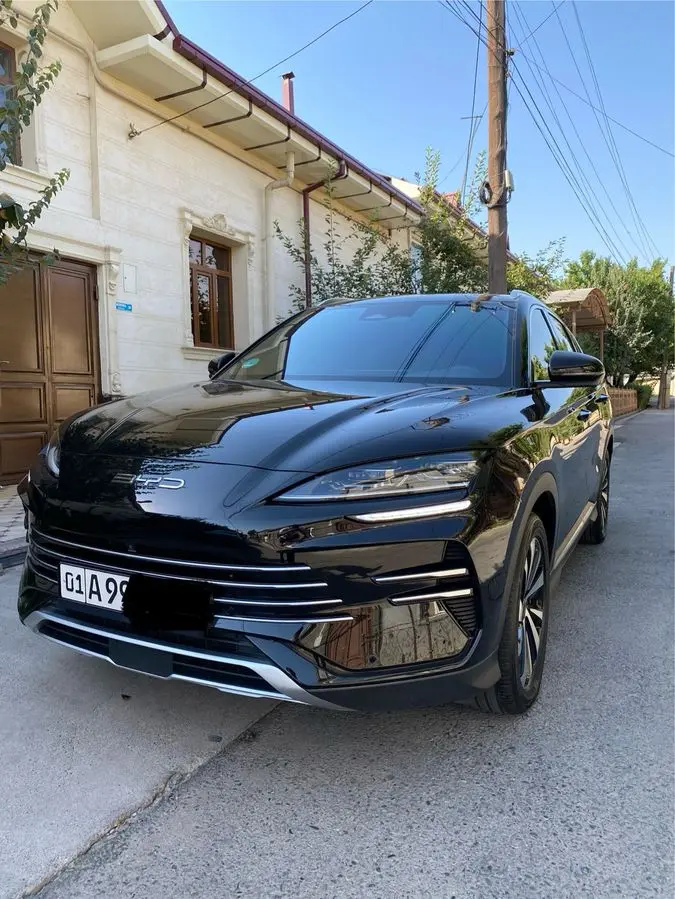 Qora BYD 2025 Gibrit 150 Afitsalni salon