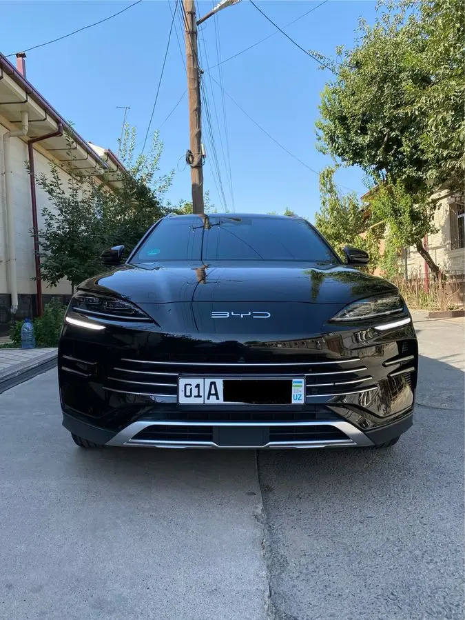 Qora BYD 2025 Gibrit 150 Afitsalni salon