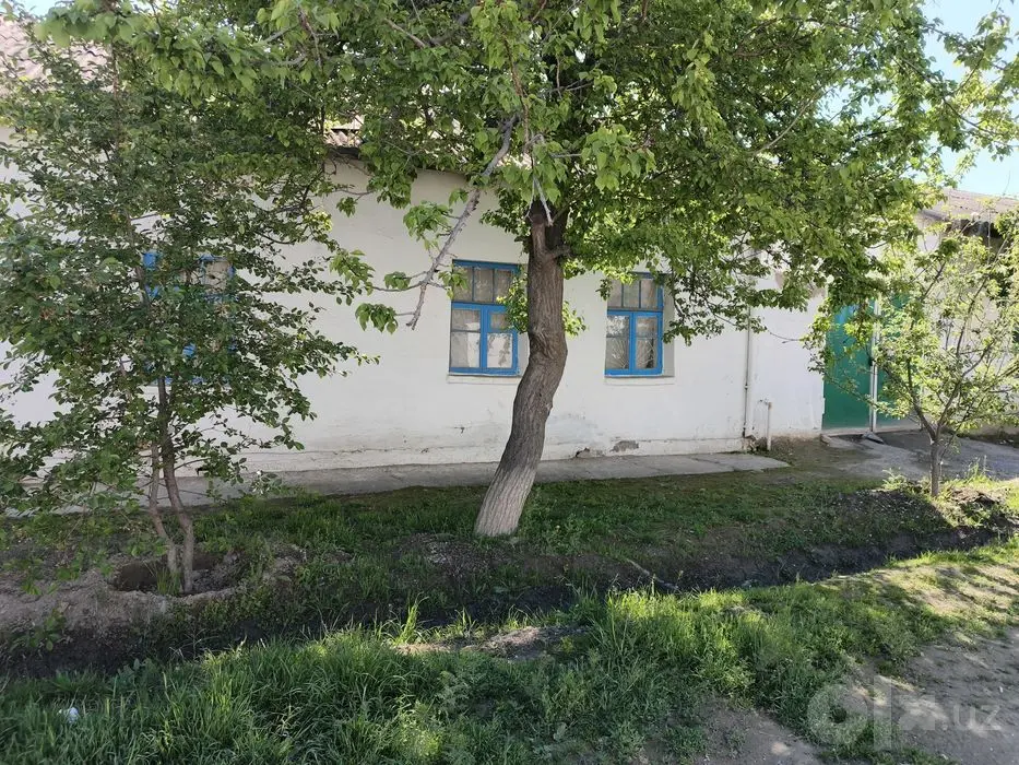 Ziyovuddin shaxarchasi, Mirzo Ulug'bek  MFY, Navoiy k 19 uy.