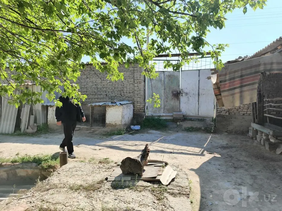 Ziyovuddin shaxarchasi, Mirzo Ulug'bek  MFY, Navoiy k 19 uy.