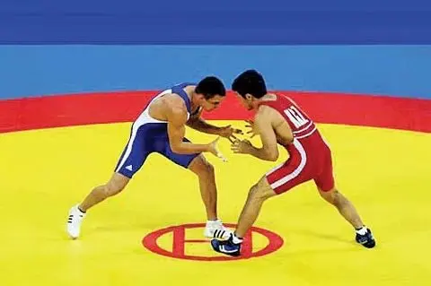 Бойцовский ковер 12х12 размер Kurash Gilami Sport Mat Tatami Ковер