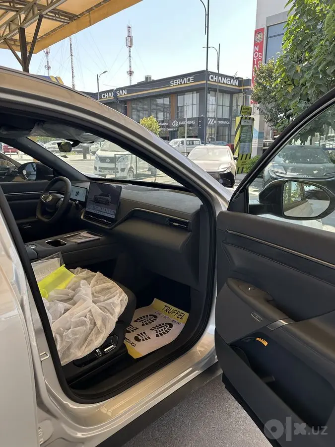 Dongfeng 008 max electro 2025