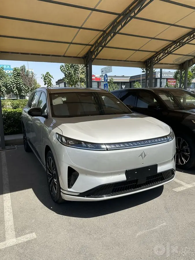 Dongfeng 008 max electro 2025