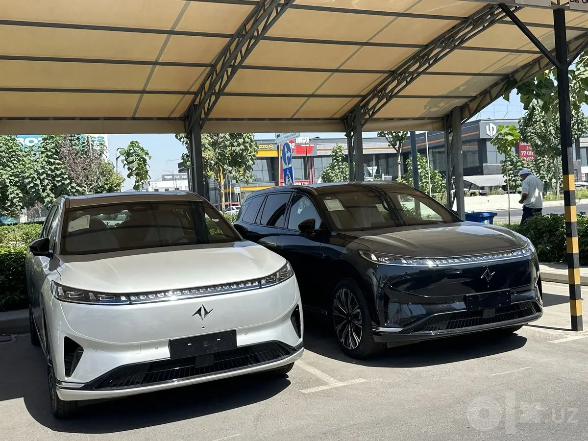 Dongfeng 008 max electro 2025