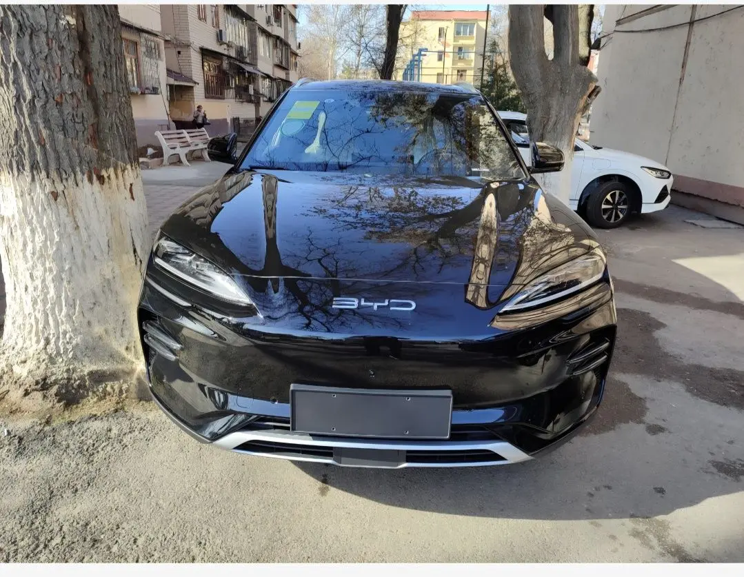 Byd champion 605 smart