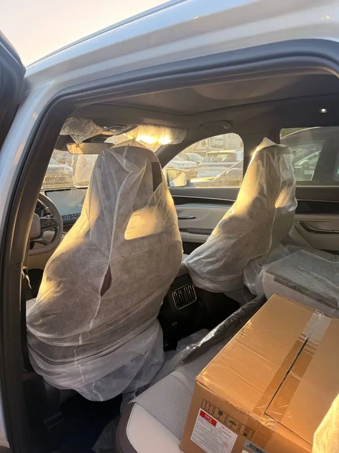 Byd champion 605 smart