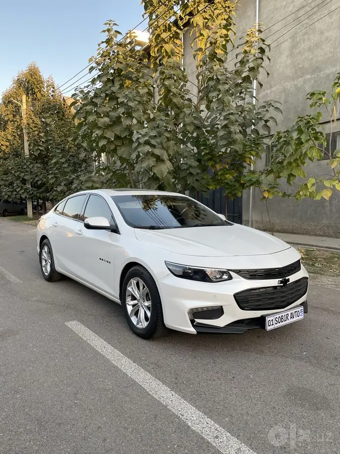 Malibu 2 2.4 Kraskasi tozza