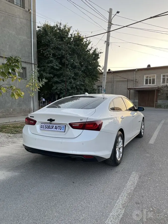 Malibu 2 2.4 Kraskasi tozza