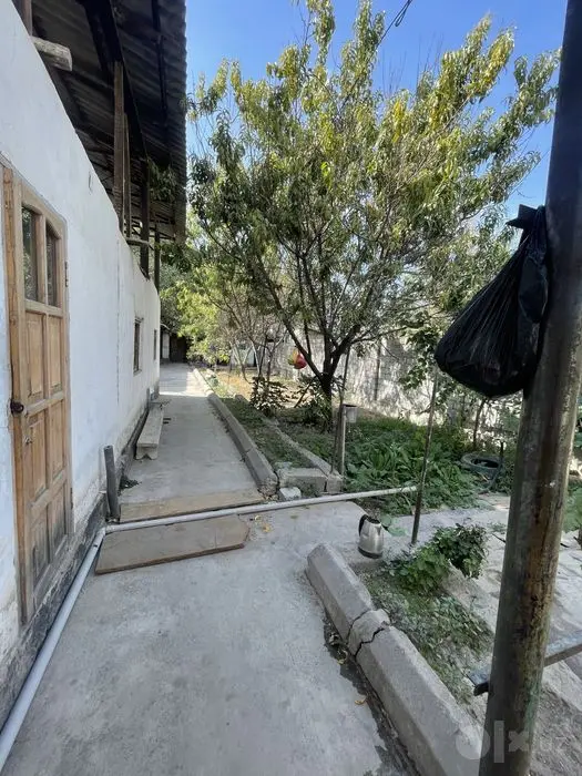 Iyk ota hovli ijaraga beriladi