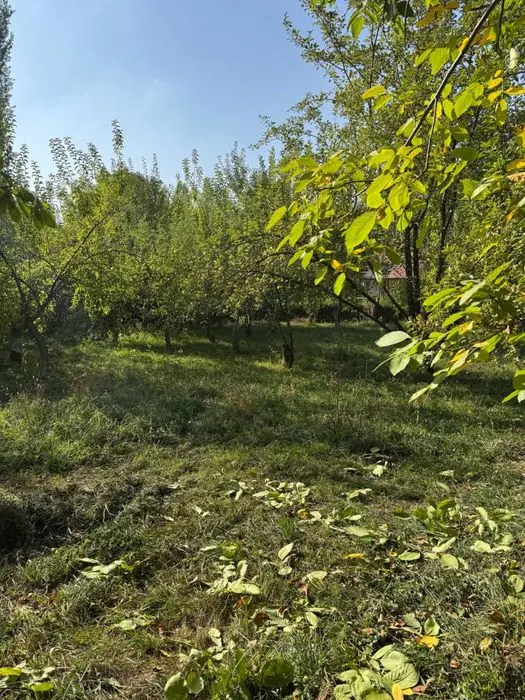 Ер сотилади