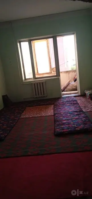 Arzon arenda student qizlarga