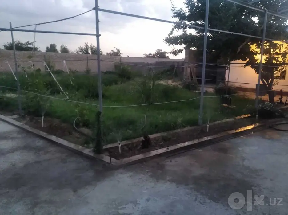 8 sotixli dacha sotiladi