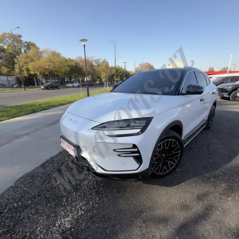 BYD champion honor 605 фулл