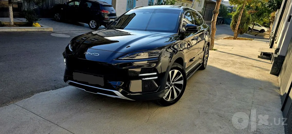 BYD Chempion 2024/25 toʻliq toʻq Kiraska top toza  tayyor full navorot