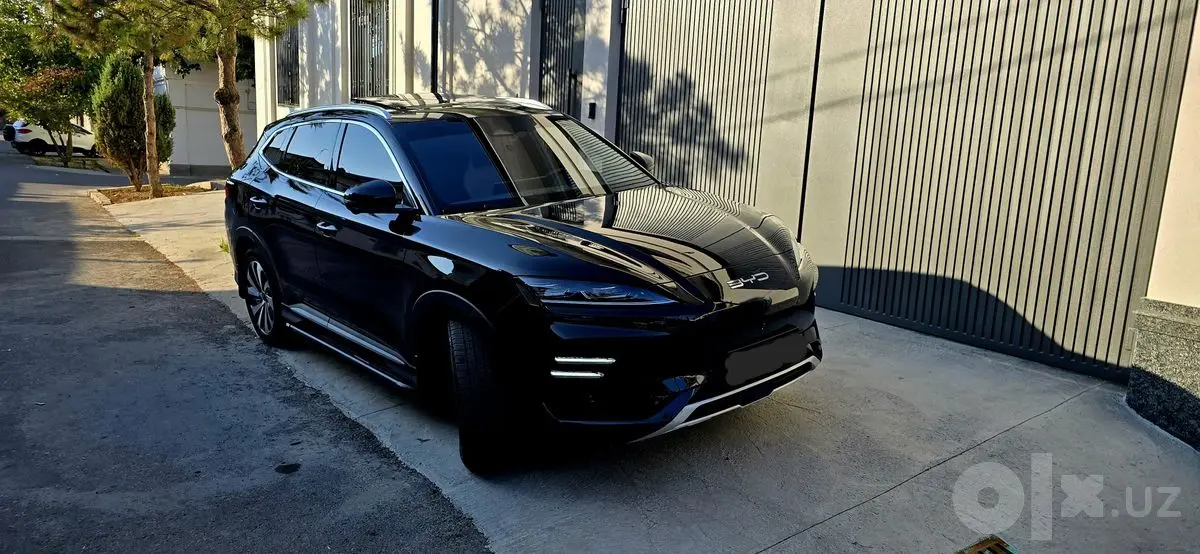 BYD Chempion 2024/25 toʻliq toʻq Kiraska top toza  tayyor full navorot