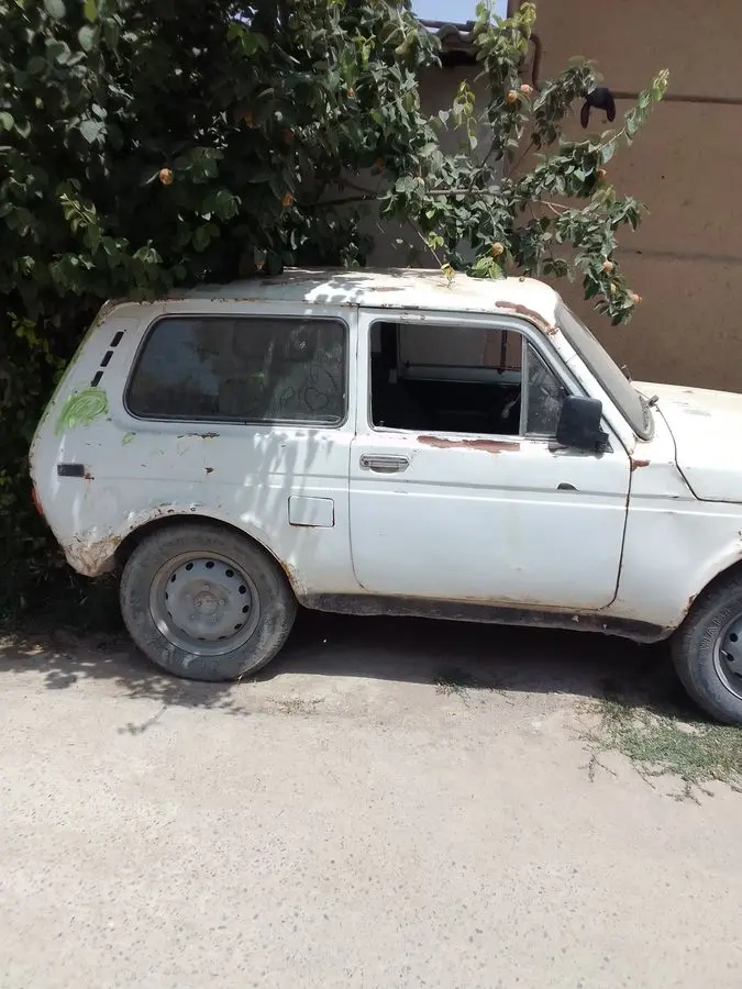 Нива сотилади. 88 йил