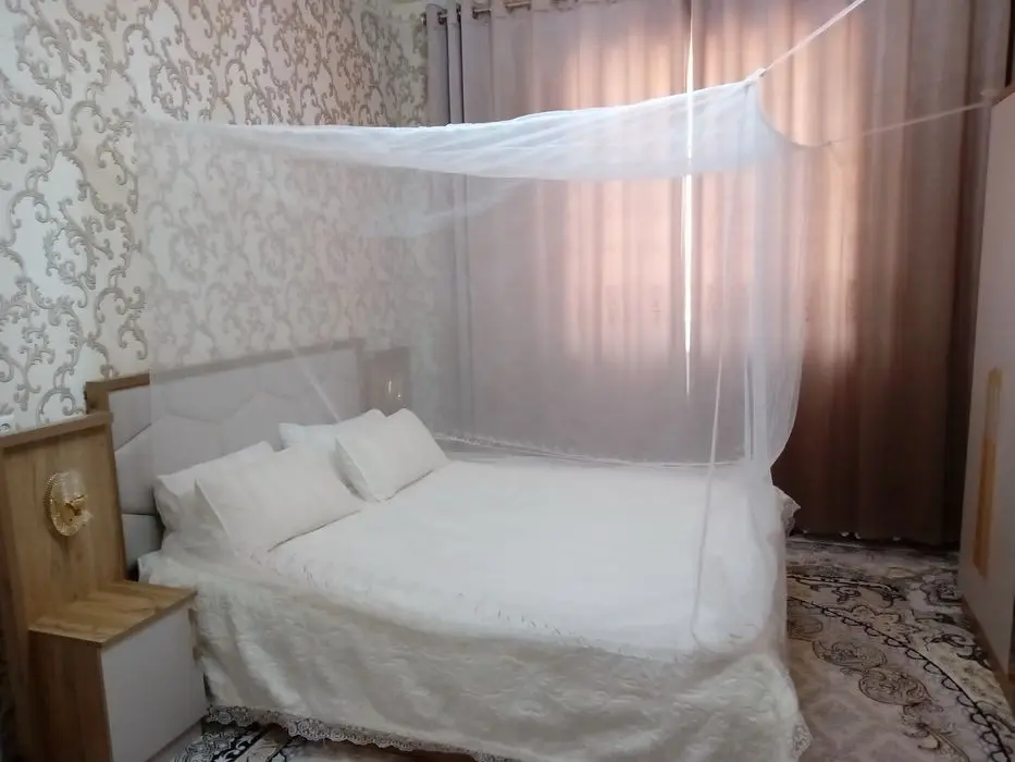Пашшахона, тюль сеткадан, пешахона