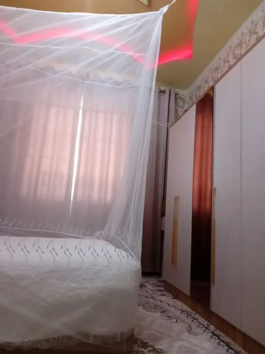 Пашшахона, тюль сеткадан, пешахона