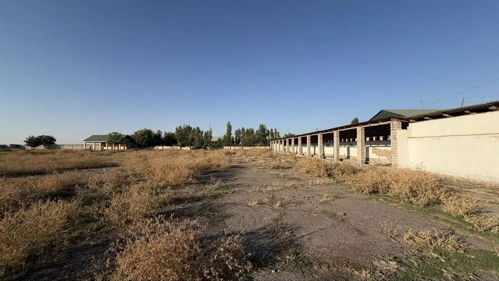117 sotix kadastrli biznes hududi sotiladi | Quyi Chirchiq