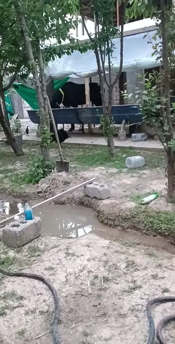Bozsuv centrda 8 sotik yer sotiladi