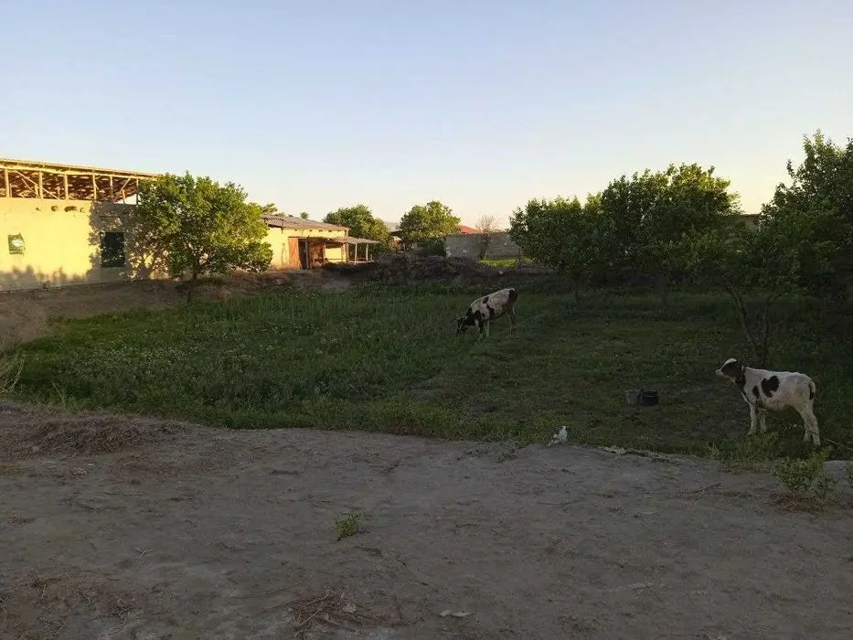 21 Sotixli hovli sotiladi