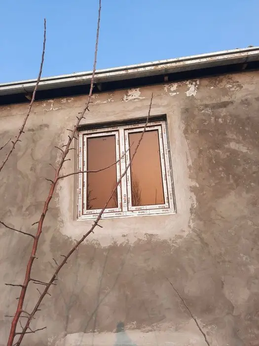 Biko plast romlari