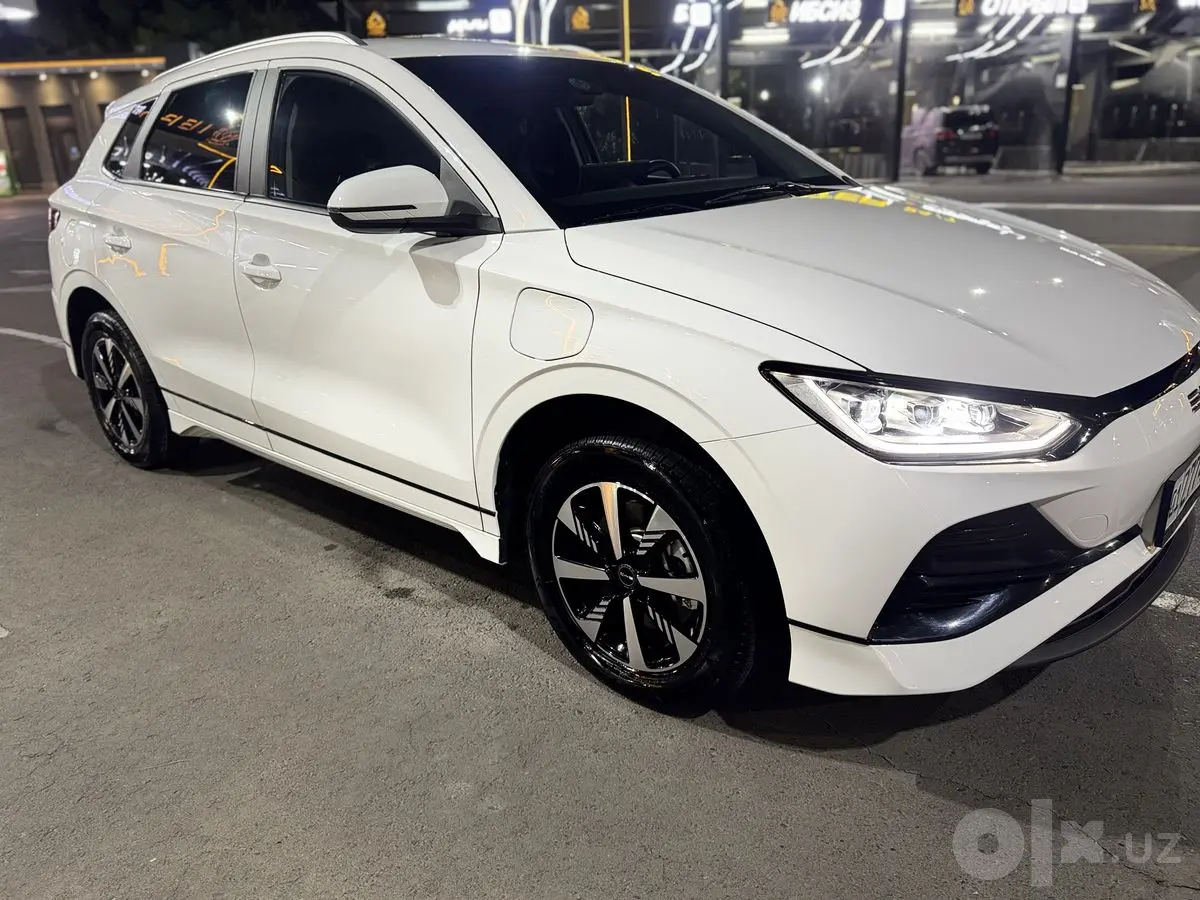 BYD e2 405  tali