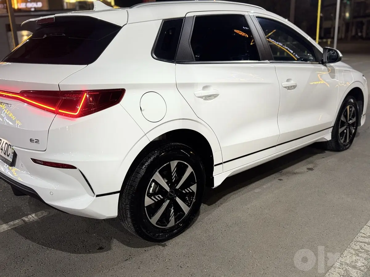 BYD e2 405  tali